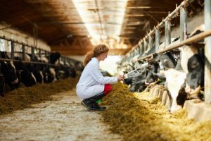 Ecvi System Electronic CVI & Animal Health Certificates | Vet Sentry