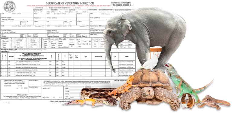 Ocvi eCVI Software – Electronic Veterinary Inspection | Vet Sentry