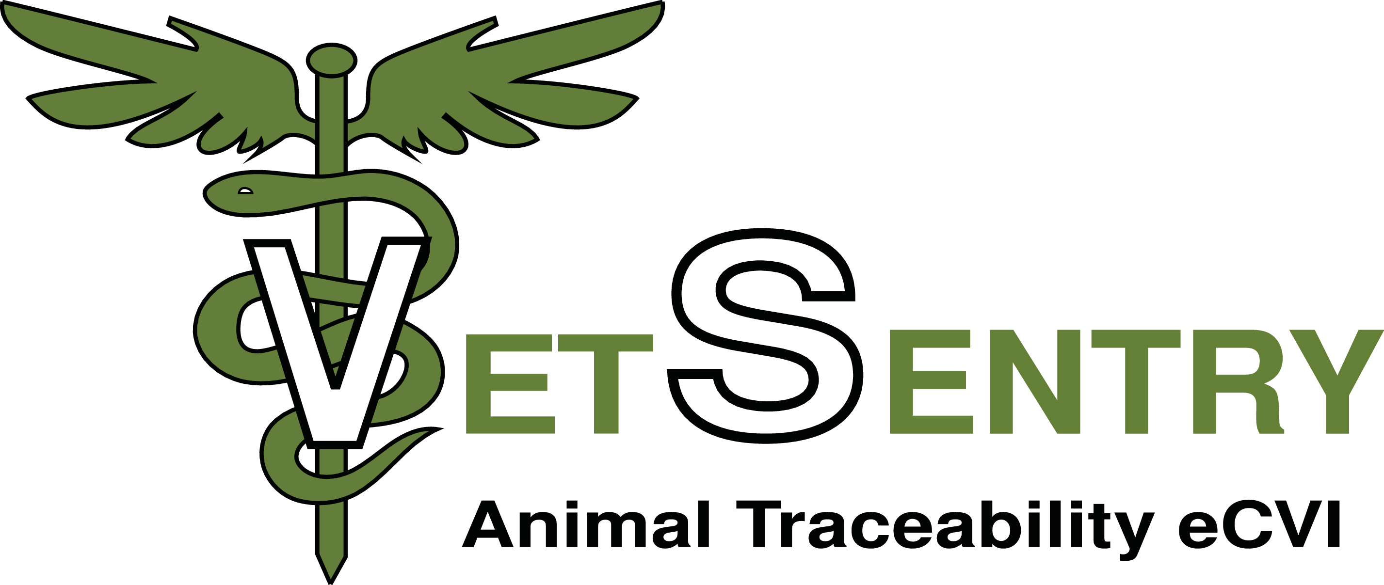 pet travel certificate online